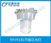 NYJ9181節(jié)能泛光燈