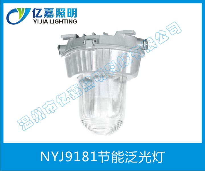 NYJ9181節(jié)能泛光燈