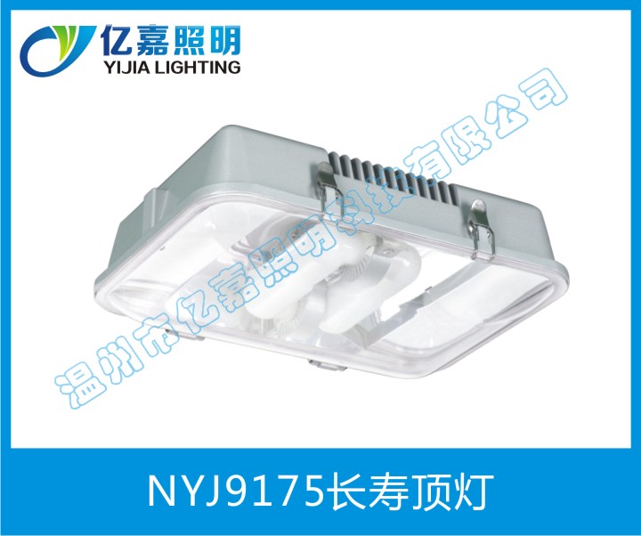 NYJ9175長壽頂燈
